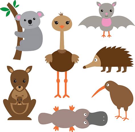 Royalty Free Koala Clip Art, Vector Images & Illustrations - iStock