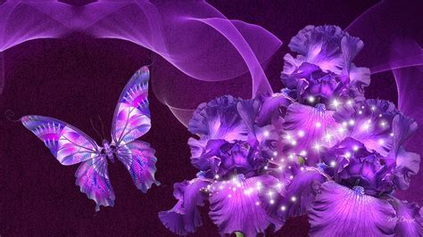 Purple Butterfly Desktop Wallpapers - Top Free Purple Butterfly Desktop Backgrounds ...