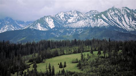 wallpaper mountains, trees, nature, landscape, aerial view HD : Widescreen : High Definition ...