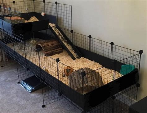 Gallery - C and C Guinea Pig Cages | Guinea pig cage, Guinea pig hutch, Guinea pigs