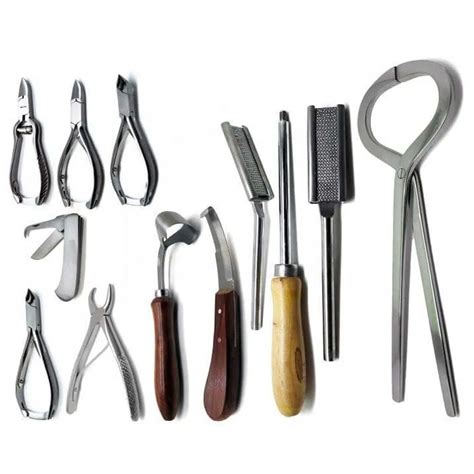 High-Quality Veterinary Surgical Instruments | CTORZ