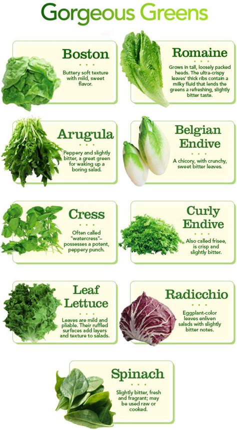 spicy lettuce varieties