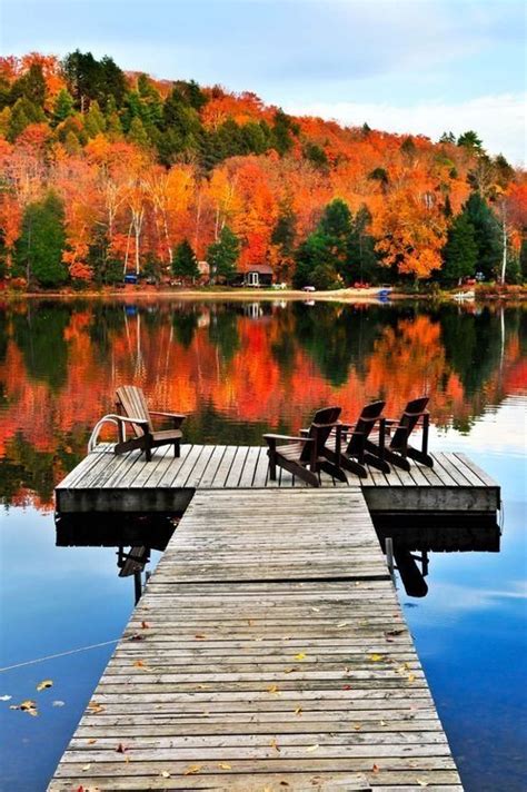 Beautiful fall background on the lake! | Beautiful places, Lake house, Beautiful world