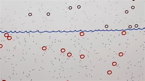 Brownian motion | Physics, Math & History | Britannica