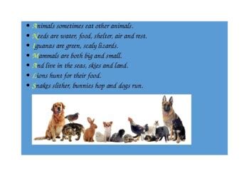 Acrostic Poem Examples For Animals