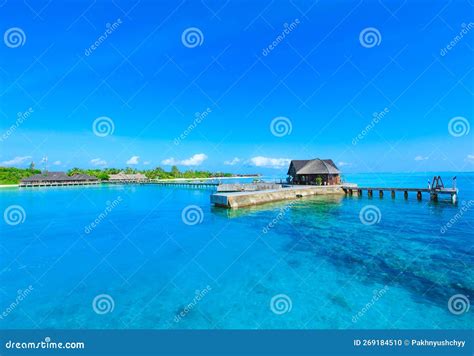 Tropical beach in Maldives stock photo. Image of tropical - 269184510