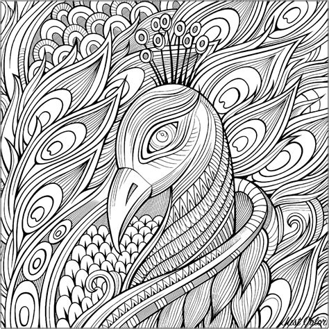 Elegant peacock and its blue feathers - Peacocks Adult Coloring Pages