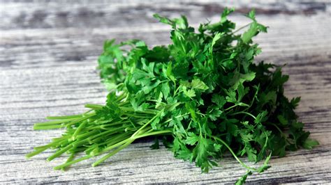 Curly Vs. Flat-Leaf Parsley: What's The Difference?