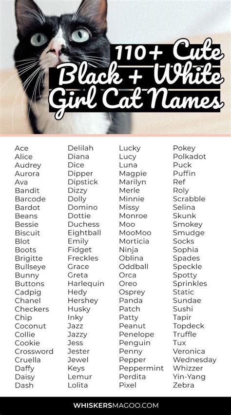 110+ Cute Black and White Cat Names for Girl Cats - Whiskers Magoo | Cat names, Girl cat names ...