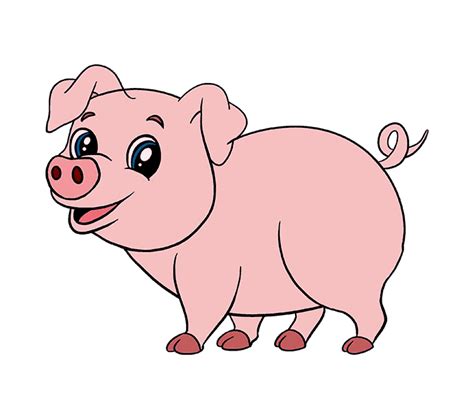 Domestic Pig Pork Clip Art Png 4000x4000px Domestic Pig Animal | Images and Photos finder