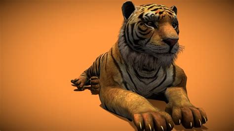 Tiger 3D models - Sketchfab