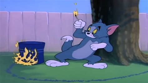 Tom and jerry episodes full episodes old - hrombirthday