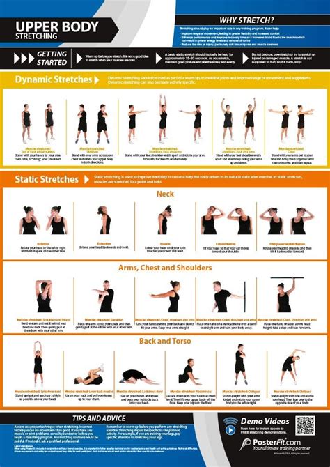 Allungamento della parte superiore del corpo | Stretching dinamico e statico | Poster laminato ...