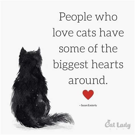 275 best Cat Lover: Quotes & Sayings images on Pinterest | Kitty cats, Kittens and Baby kittens