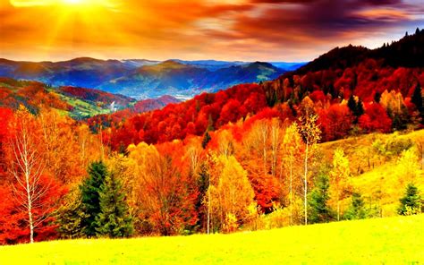 Colorful Nature Backgrounds