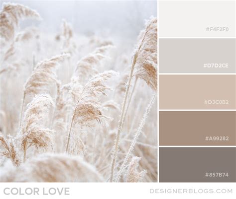 Color Love | Soft Neutrals - Designer Blogs