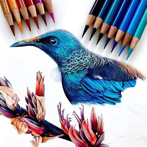 Colored Pencil Artworks on Instagram: “ Awesome Drawing 👨‍🎨 Artist: @dominique_cates_art ...