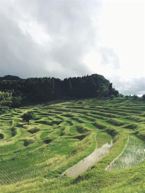 Terraced rice paddies : r/japanpics