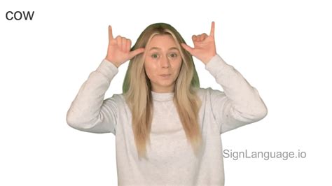 cow in ASL - Example # 1 - American Sign Language