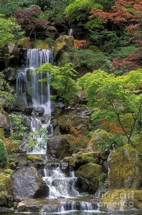 Japanese Garden Waterfall Photograph by Sandra Bronstein - Pixels