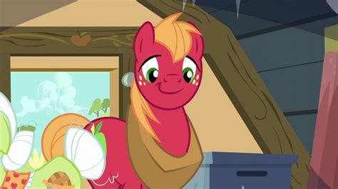 Image - Big Mac smiling S5E17.png | My Little Pony Friendship is Magic Wiki | FANDOM powered by ...