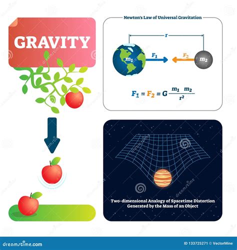 Gravity Phenomenon Infographic Diagram Showing How An Object Of Low Mass Is Pulled By ...