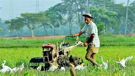 Agriculture in Sri Lanka: present and way forward | VietKoRAA