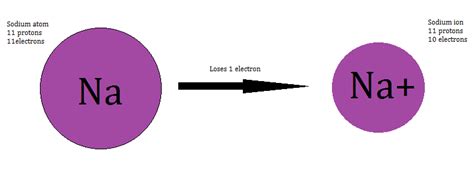 [DIAGRAM] Diagram Of Sodium Ion - MYDIAGRAM.ONLINE