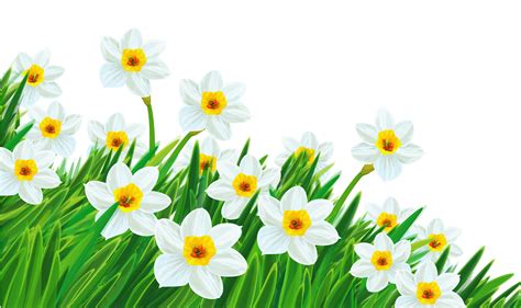 Free Transparent Spring Cliparts, Download Free Transparent Spring Cliparts png images, Free ...