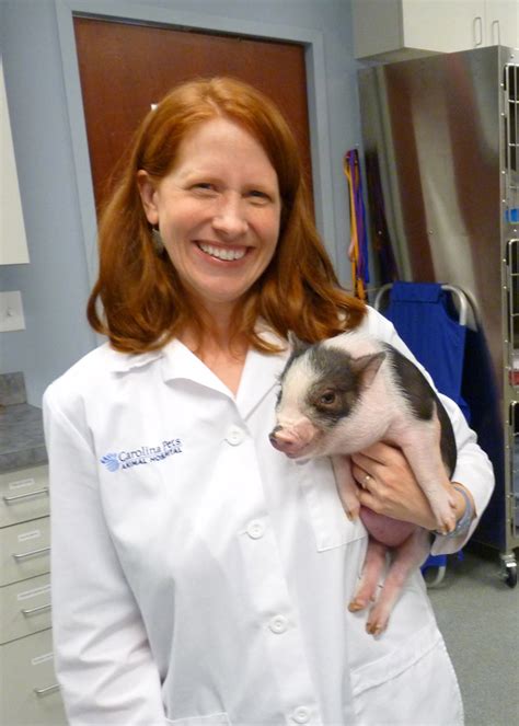 Pot Belly Pig Care - Carolina Pets Animal Hospital