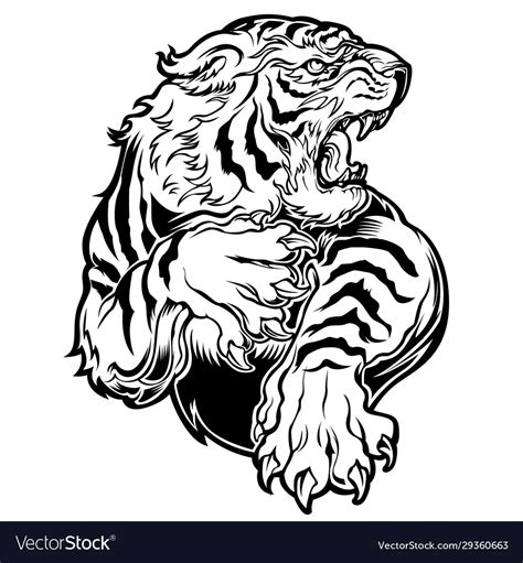 Animals angry tiger drawing Royalty Free Vector Image