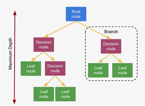 Decision Tree Algorithm. The Decision Tree is a Supervised… | by Arpit Jain | Medium