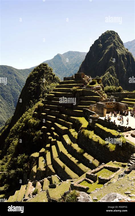 Machu Picchu terraces. Inca farmers used such terracing during the empire to control erosion and ...