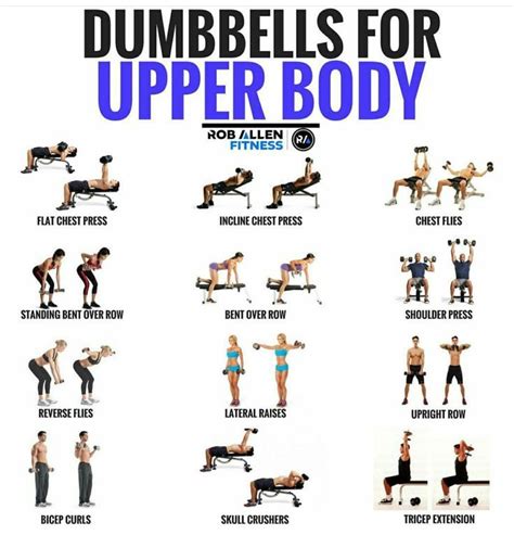 Upper body workout - Fitness and Exercises | Dumbell workout, Body workout at home, Upper body ...