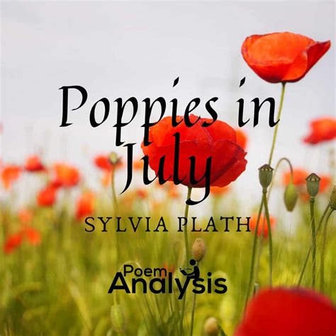 Analysis of Poppies in July by Sylvia Plath | Poem Analysis