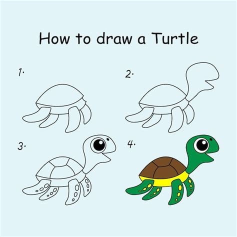 Premium Vector | Step by step to draw a turtle. drawing tutorial a turtle. drawing lesson for ...