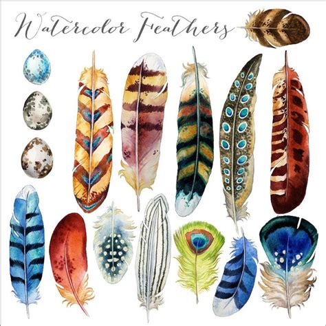 Watercolor Feathers | Feather art, Watercolor feather, Feather painting