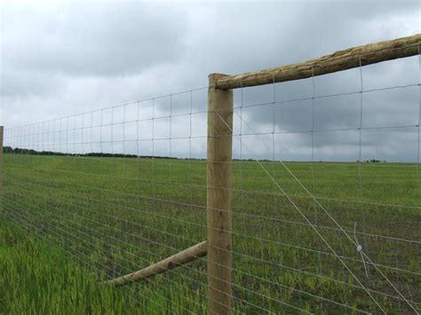 Deer Netting - Wire & Stock Fencing | Agricultural | Ashford Kent