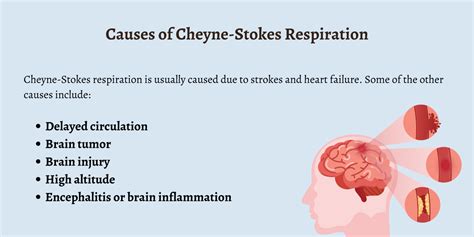 What is Cheyne-Stokes Respiration? - First Aid for Free