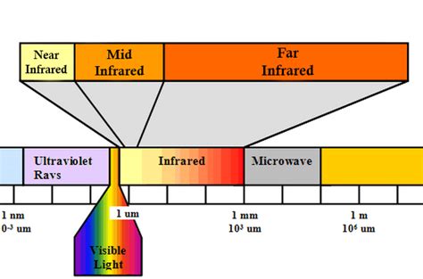 An Introduction to Full Spectrum Infrared Saunas - JNH Lifestyles