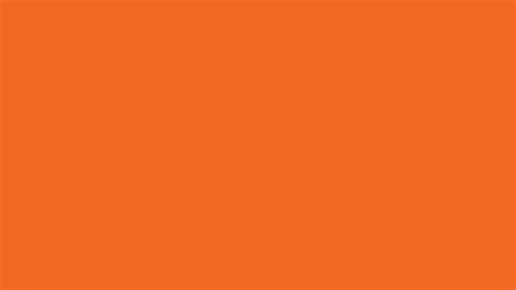 Safety Orange Solid Color Background: 1000+ Free Download Vector, Image, PNG, PSD Files