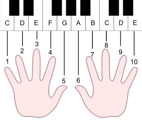 Beginner Piano Hand Position Chart