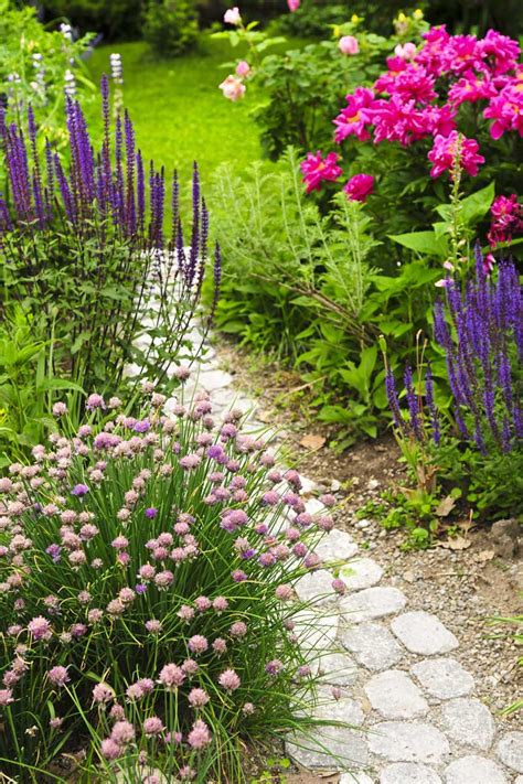 How to Design an Old-Fashioned Cottage Garden | Gardener's Path