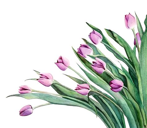 "Purple Tulips" Original Watercolor - Esther BeLer Wodrich