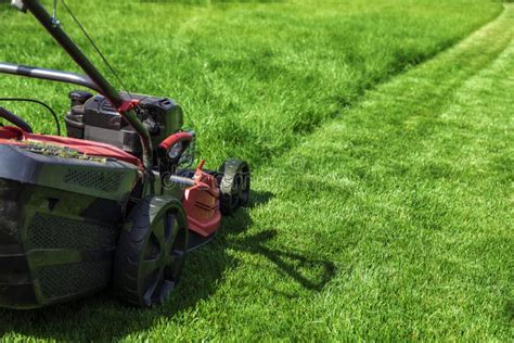 Lawn Mower Cutting Green Grass Stock Image - Image of summer, mowing: 172424331