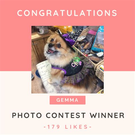 Pet Photo Contest