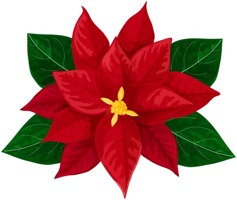 Christmas Flower Clipart at GetDrawings | Free download