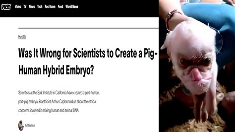 Is This the First Video of a Human-Pig Hybrid? - The Paraterrestrial Files 2024