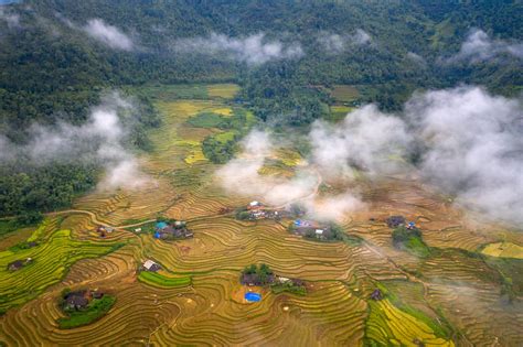 Aerial View of Rice Paddies · Free Stock Photo