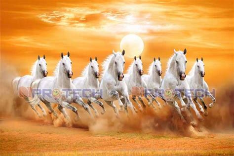 feng shui Eight Running Horses Paintings Best white 8 horse L